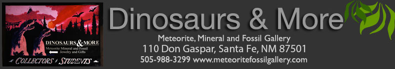 santa fe plaza fossils meterorites rock hound charlie dinosaurs and more